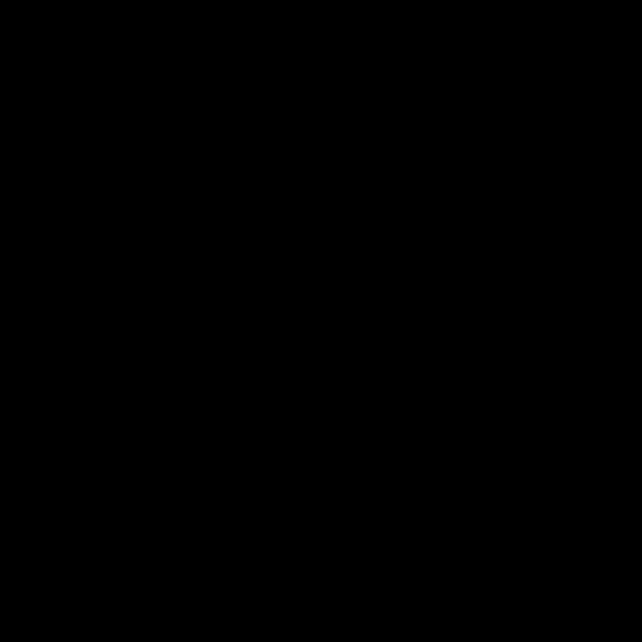 XL Subscript Blazer - Picture 6 of 13